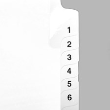 Index Tabs Collated Number Tabs