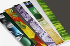 Buy Fastback Image Strips from Finitura Fastback Image Strips